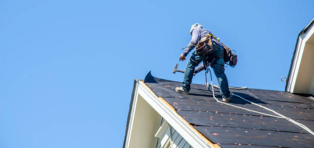 Best Roof Maintenance Services  in Alanes Ridge, CA